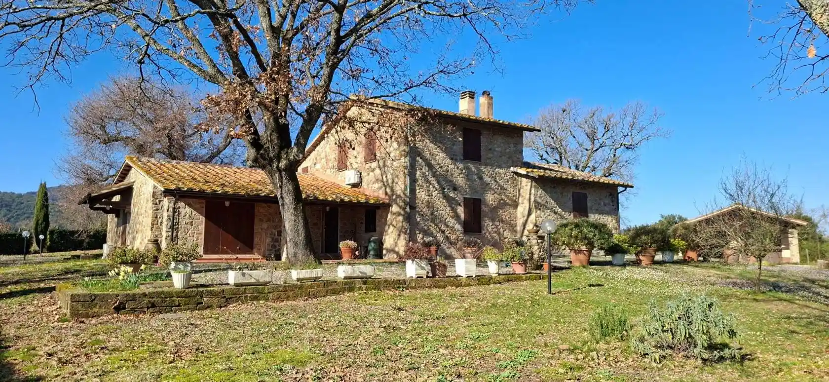 Rustico - Casale in vendita a Campagnatico