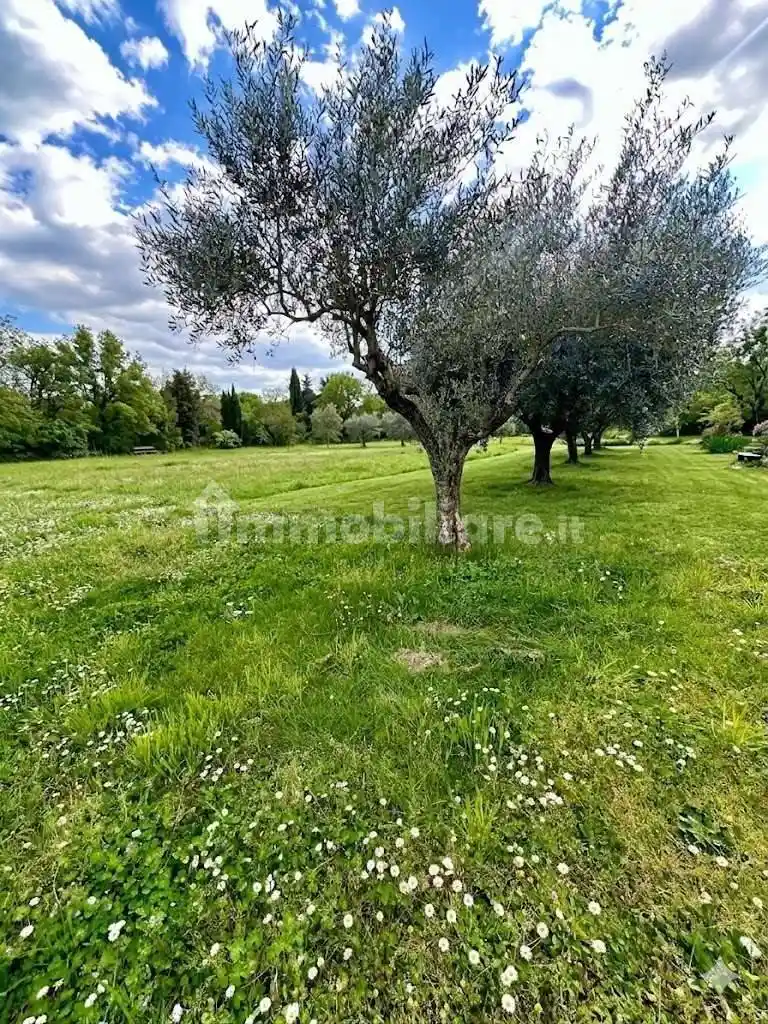 Casa indipendente in vendita a Capannori