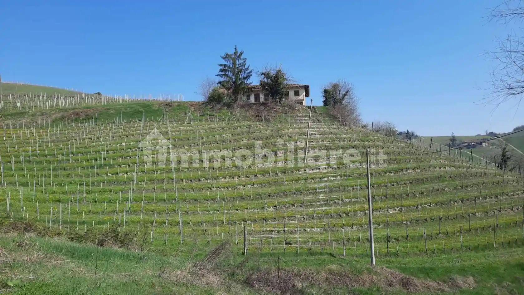 Rustico - Casale in vendita a Monforte d'Alba