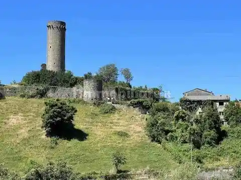 Appartamento in vendita a Comano