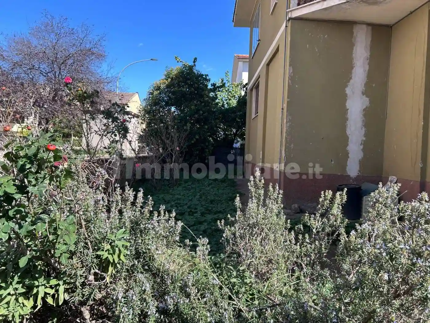 Palazzo - Edificio - foto 3