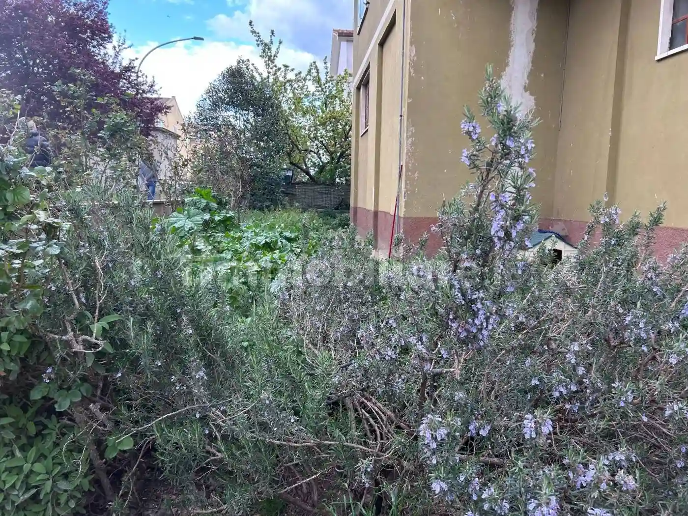 Palazzo - Edificio - foto 4