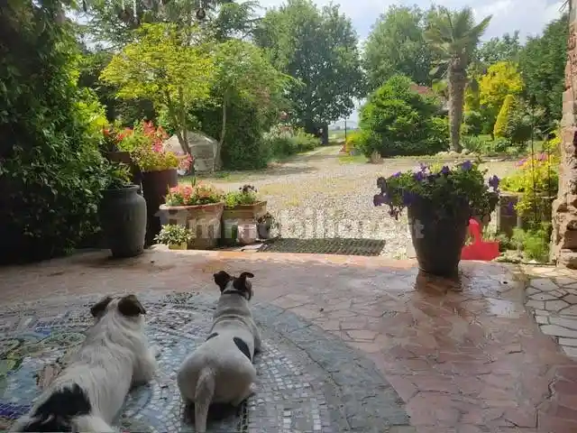 Rustico - Casale in vendita a Masi Torello