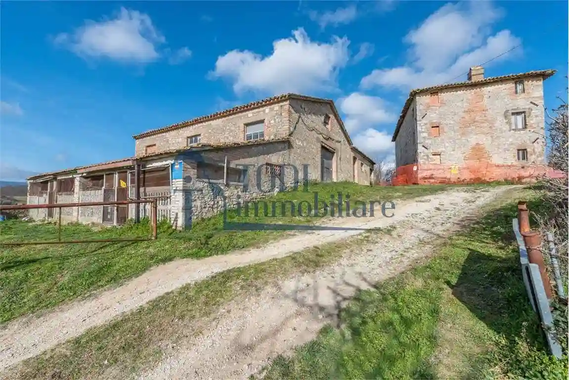 Rustico - Casale - foto 4