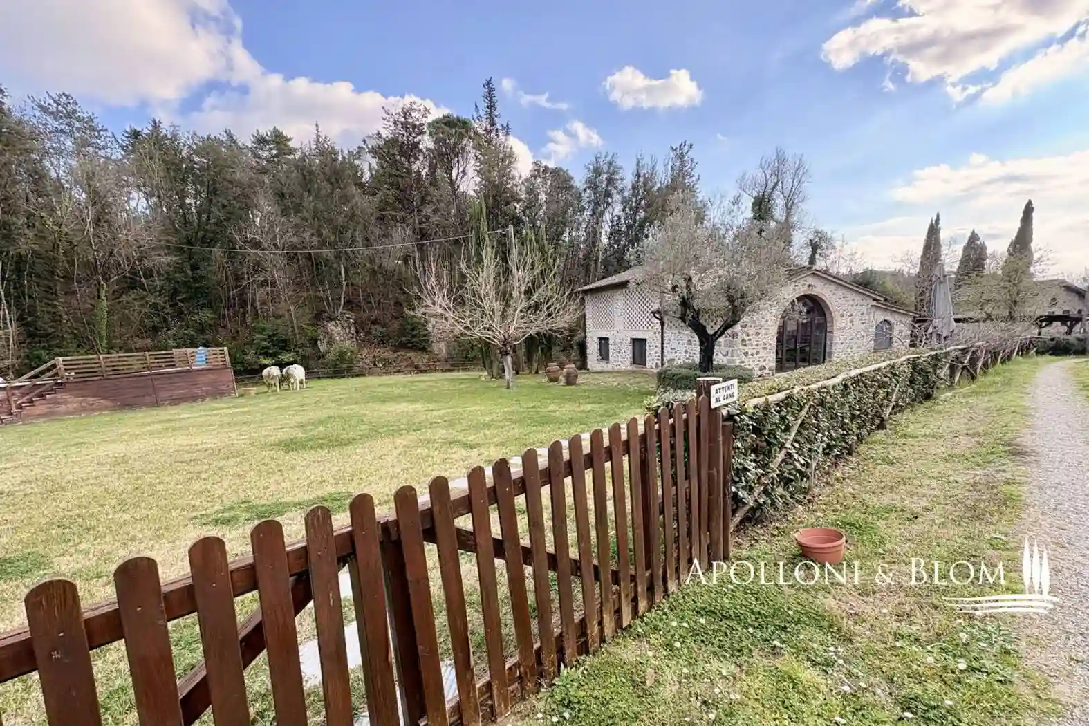 Rustico - Casale - foto 5