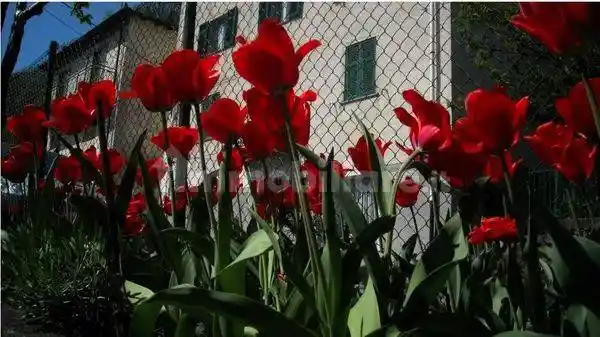 Appartamento in vendita a Busalla