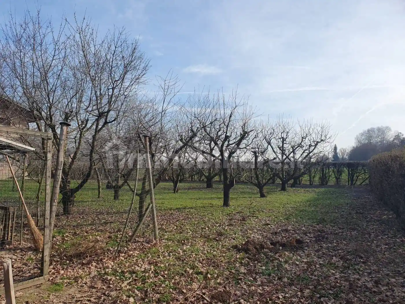 Rustico - Casale in vendita a Castelnuovo Rangone