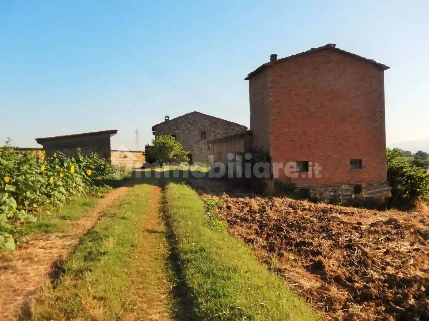 Rustico - Casale - foto 5