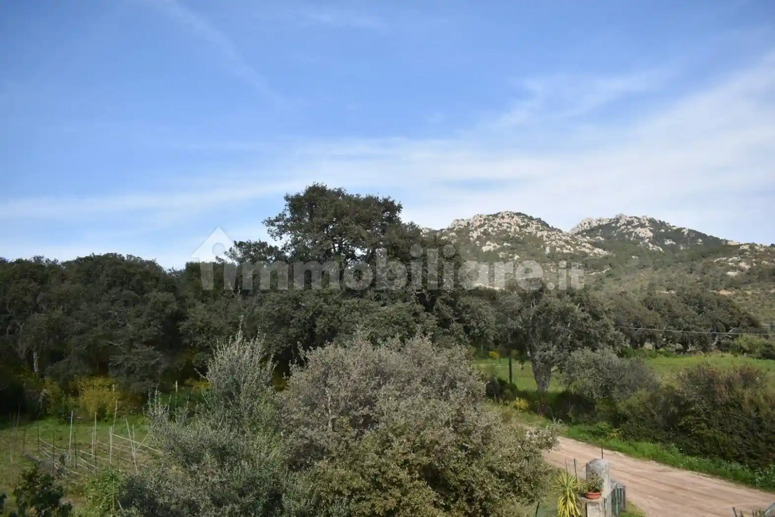 Villa in vendita a Telti