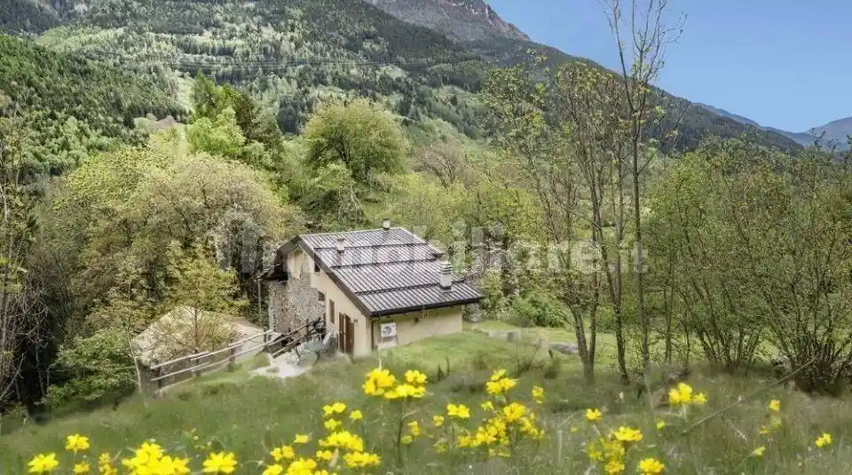 Rustico - Casale in vendita a Incudine