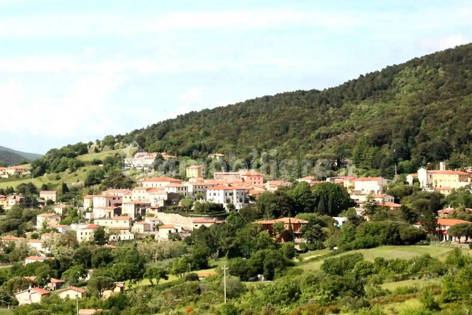 Appartamento in affitto a Castellina Marittima