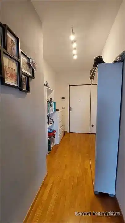 Appartamento in affitto a Pisa