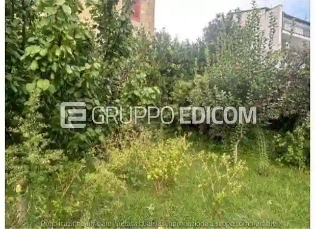 Palazzo - Stabile - foto 2