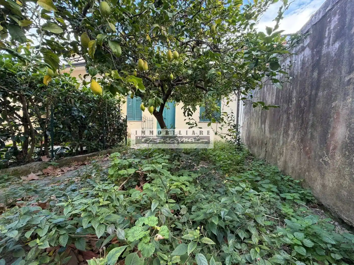 Appartamento in vendita a Viareggio