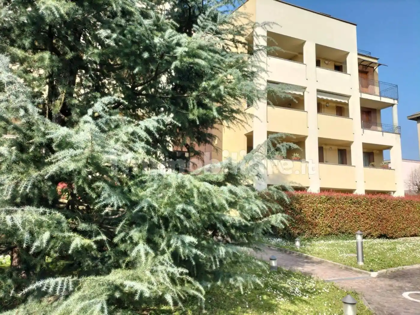 Appartamento in affitto a Biassono