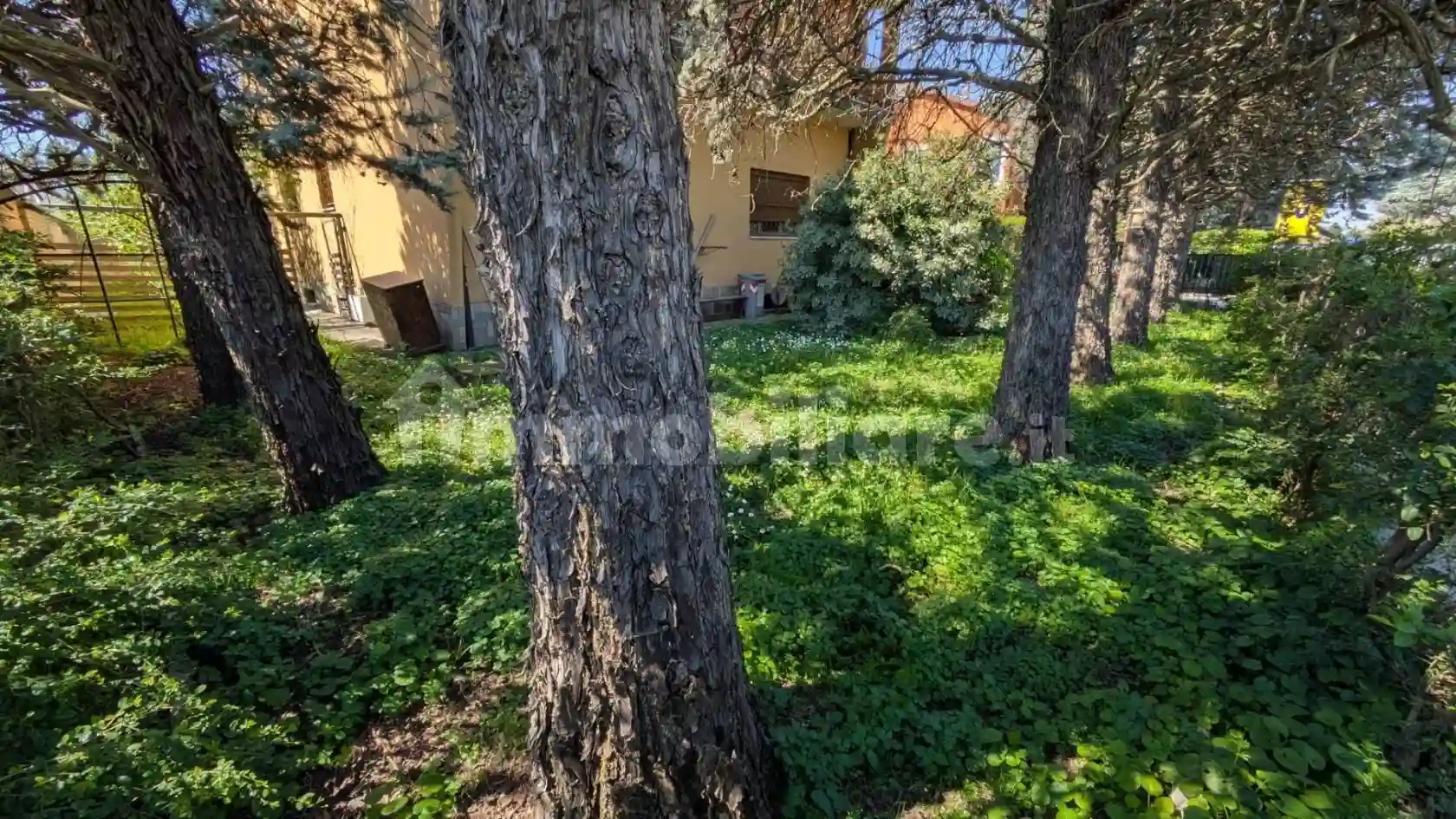 Palazzo - Edificio - foto 4