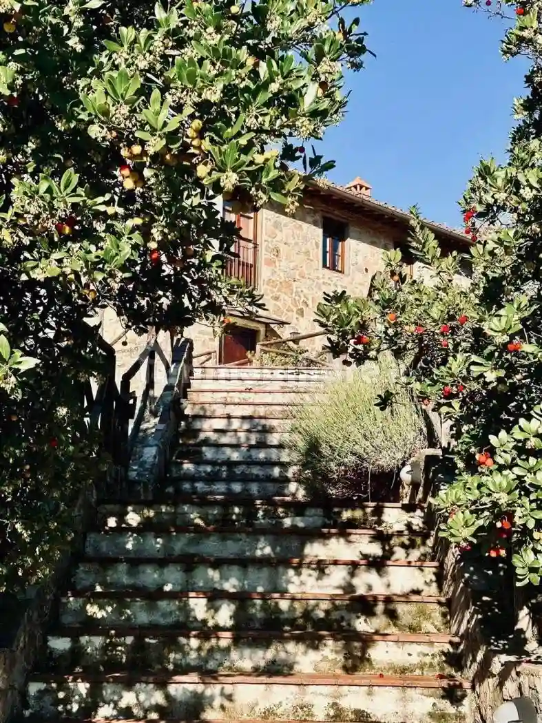 Rustico - Casale - foto 2