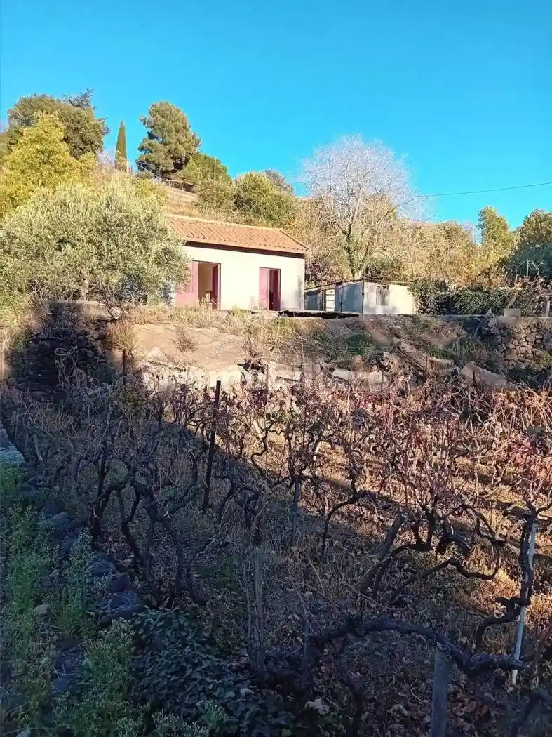 Villa in vendita a Adrano