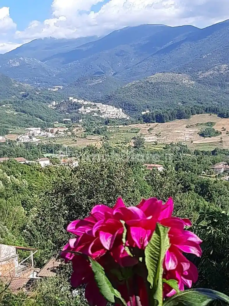Casa indipendente in vendita a Viggianello