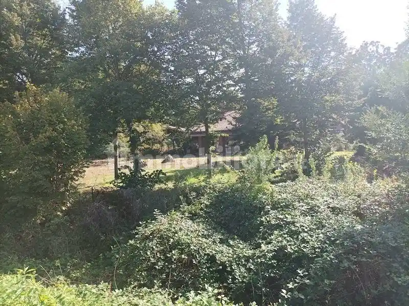 Villa in vendita a Nichelino