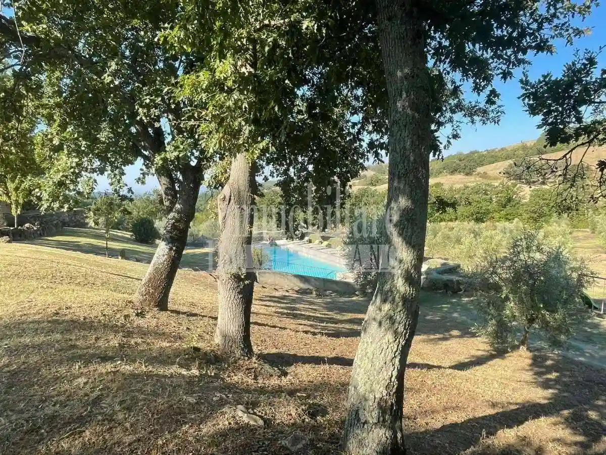 Rustico - Casale - foto 3