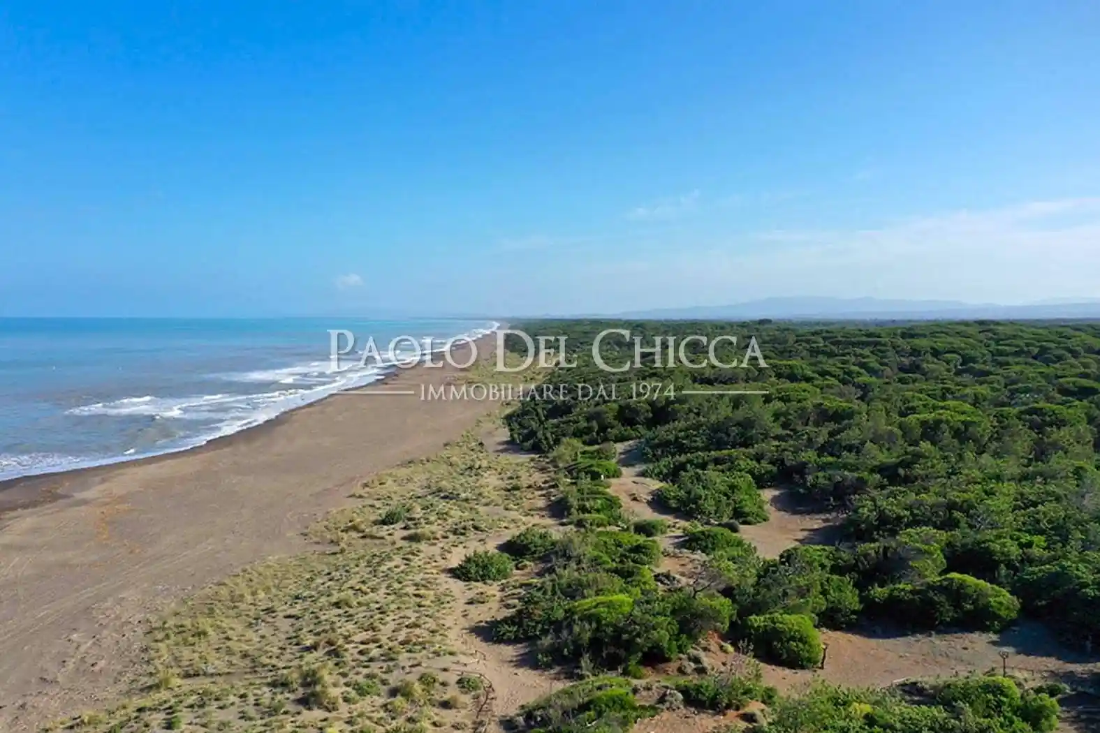 Rustico - Casale in vendita a Castagneto Carducci