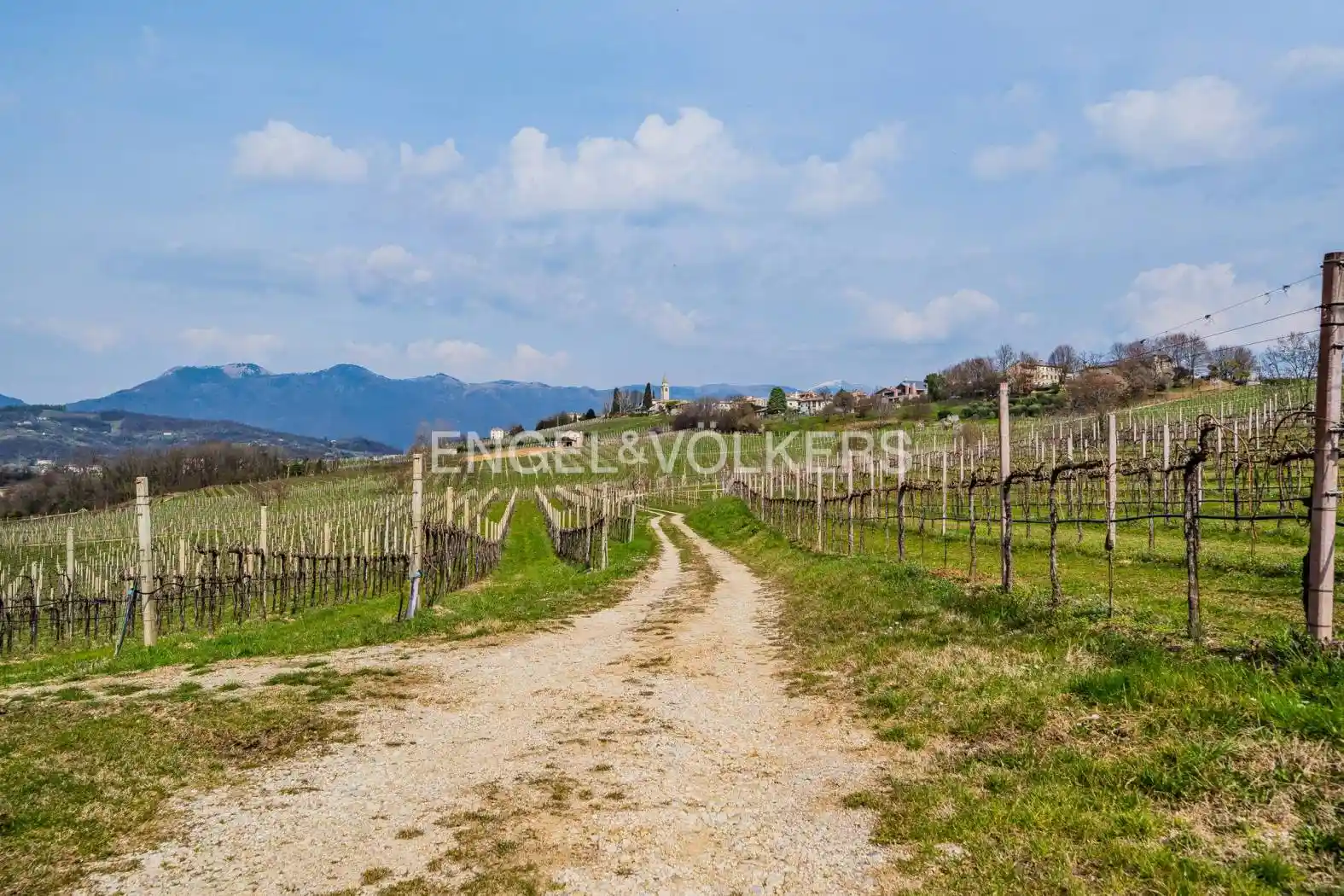 Rustico - Casale in vendita a San Pietro di Feletto