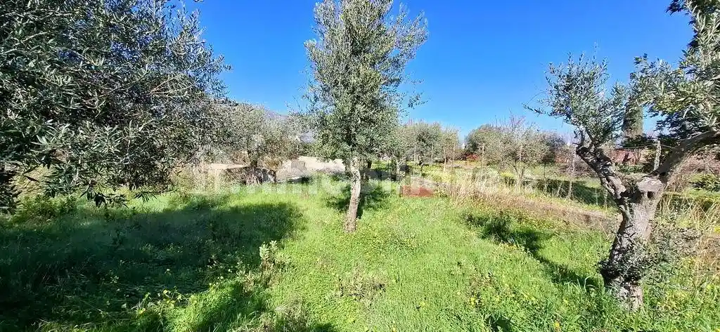 Rustico - Casale in vendita a Carini