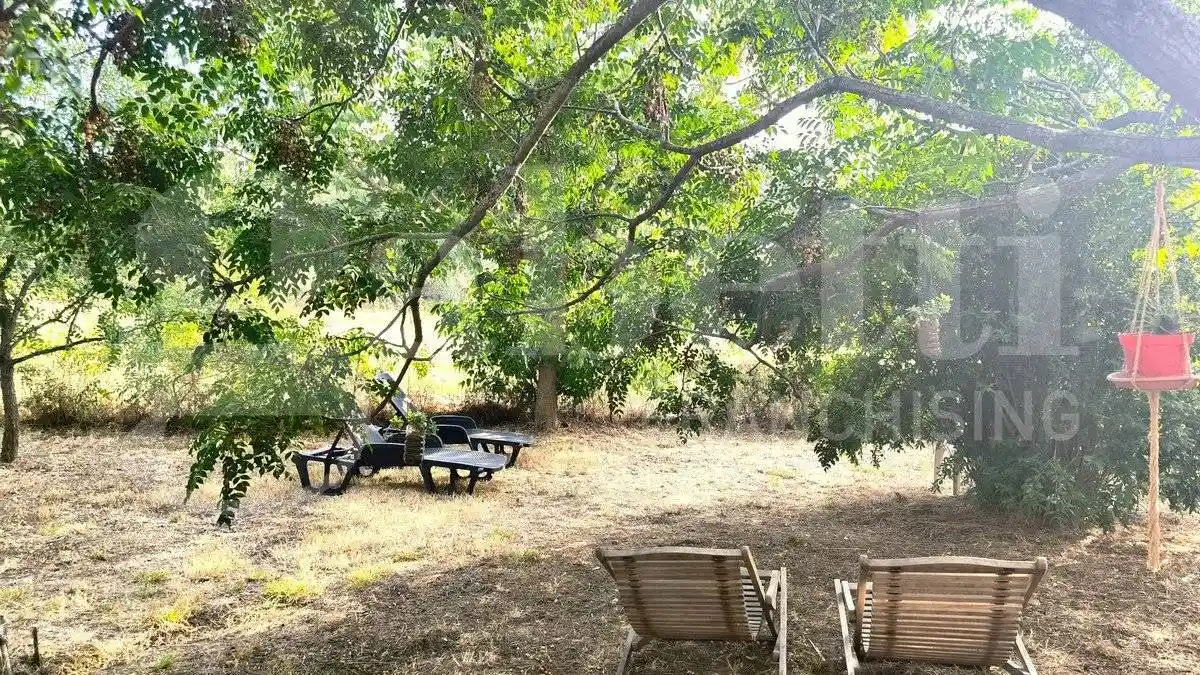 Casa indipendente in vendita a Scarlino