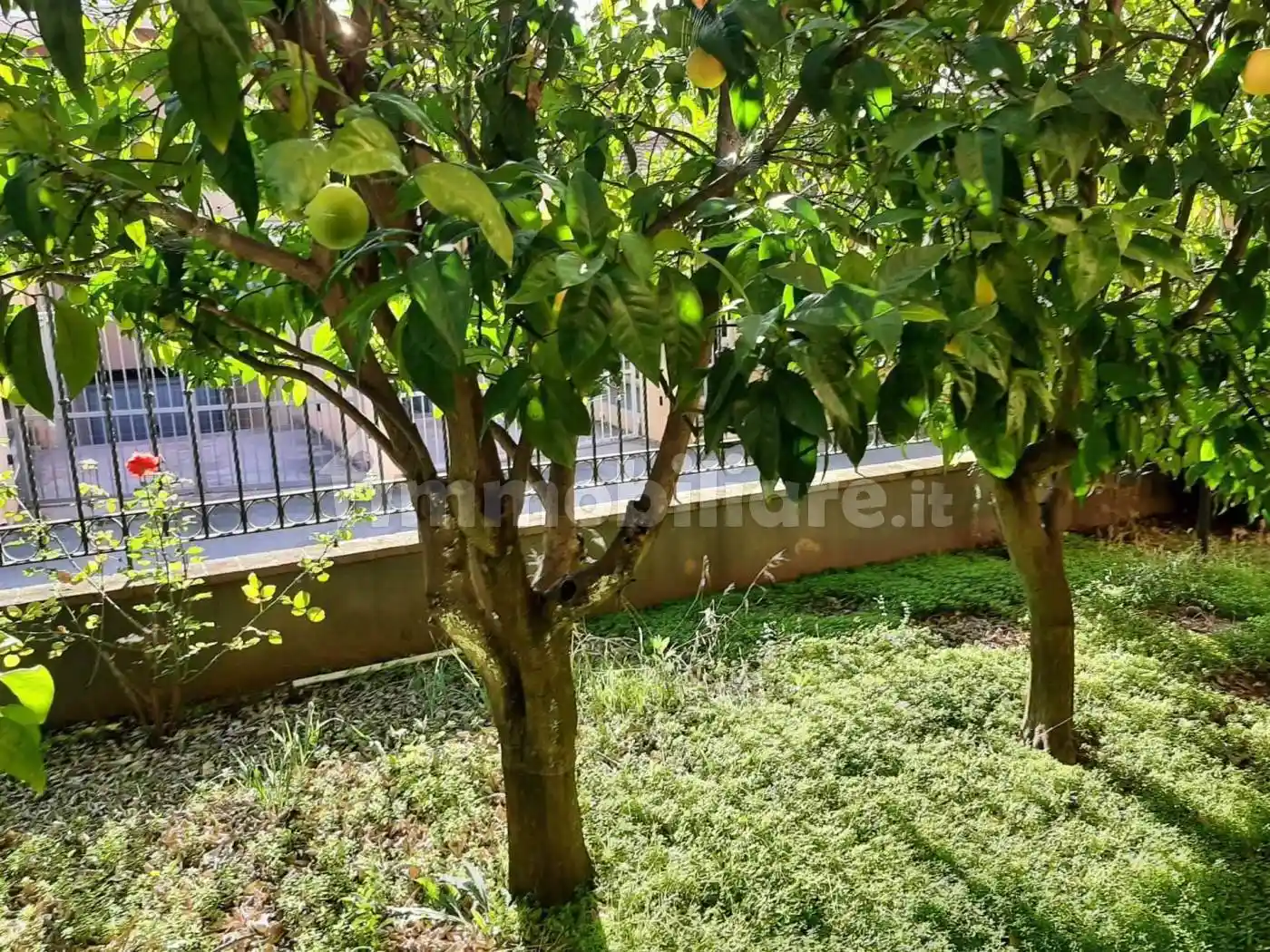 Villa in vendita a Latina