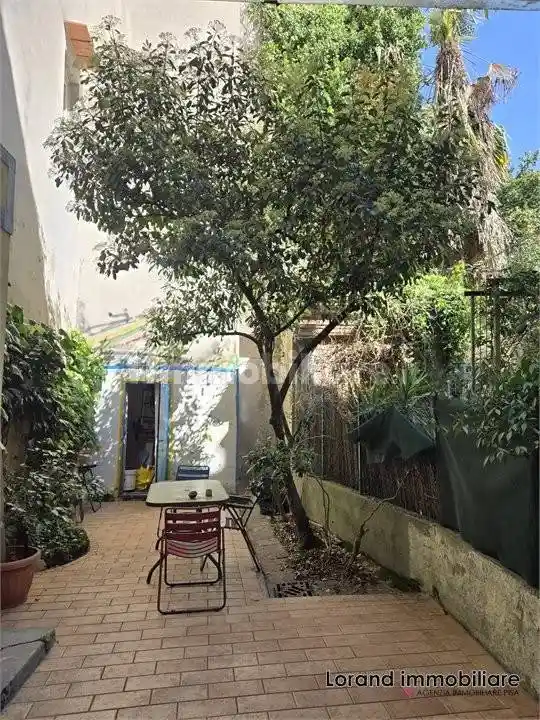 Appartamento in affitto a Pisa