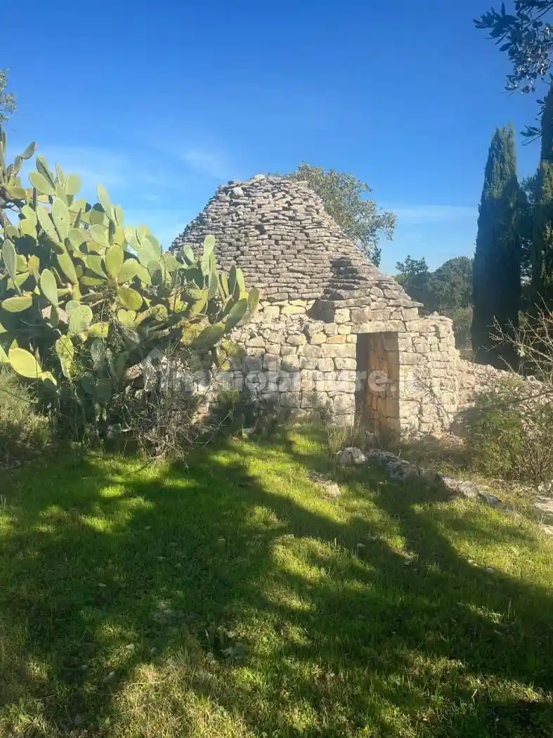 Rustico - Casale in vendita a Castellana Grotte