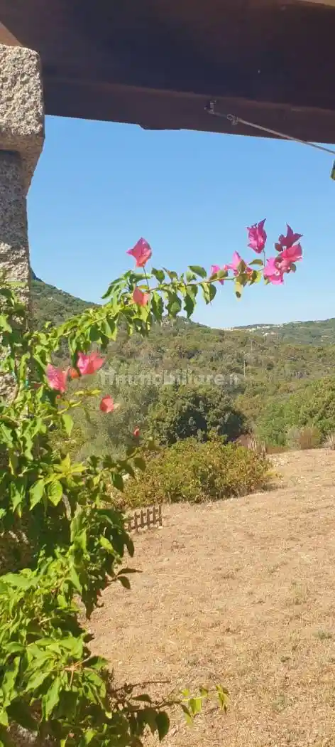 Villa in vendita a Olbia