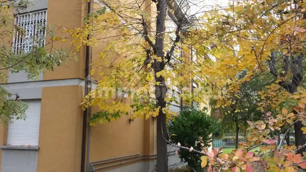 Appartamento in affitto a Castel Maggiore