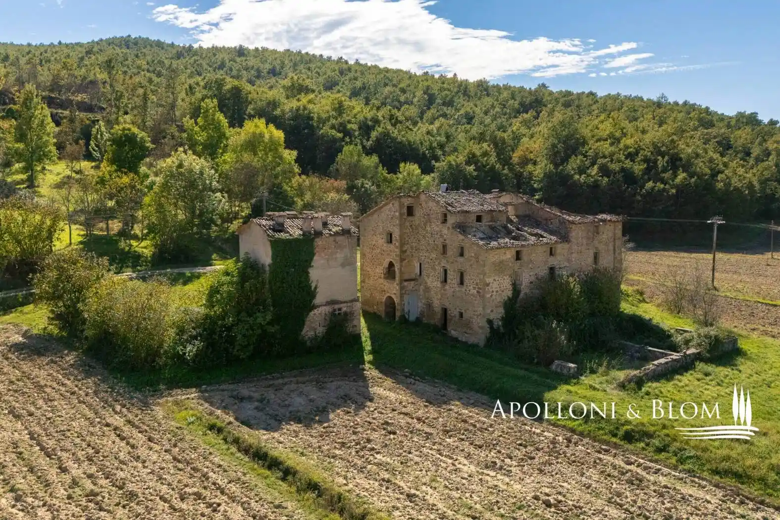 Rustico - Casale in vendita a Città di Castello