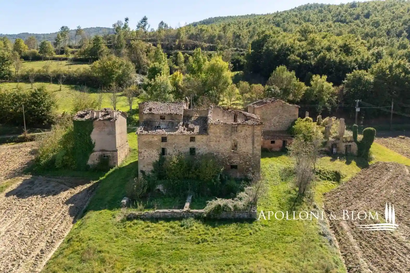 Rustico - Casale - foto 2