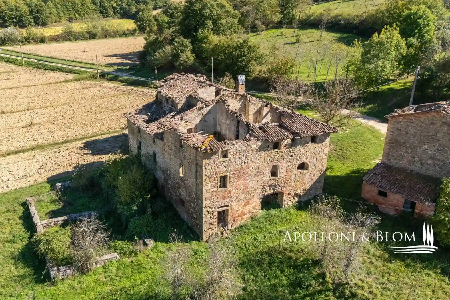 Rustico - Casale - foto 4