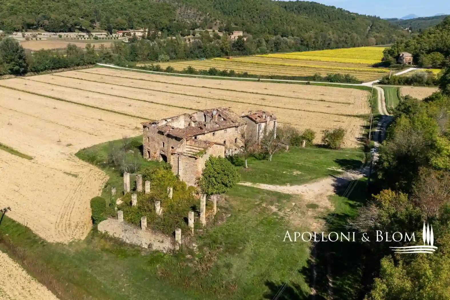 Rustico - Casale - foto 5