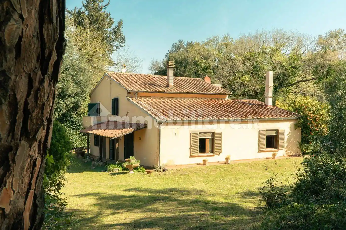 Appartamento in vendita a Bibbona