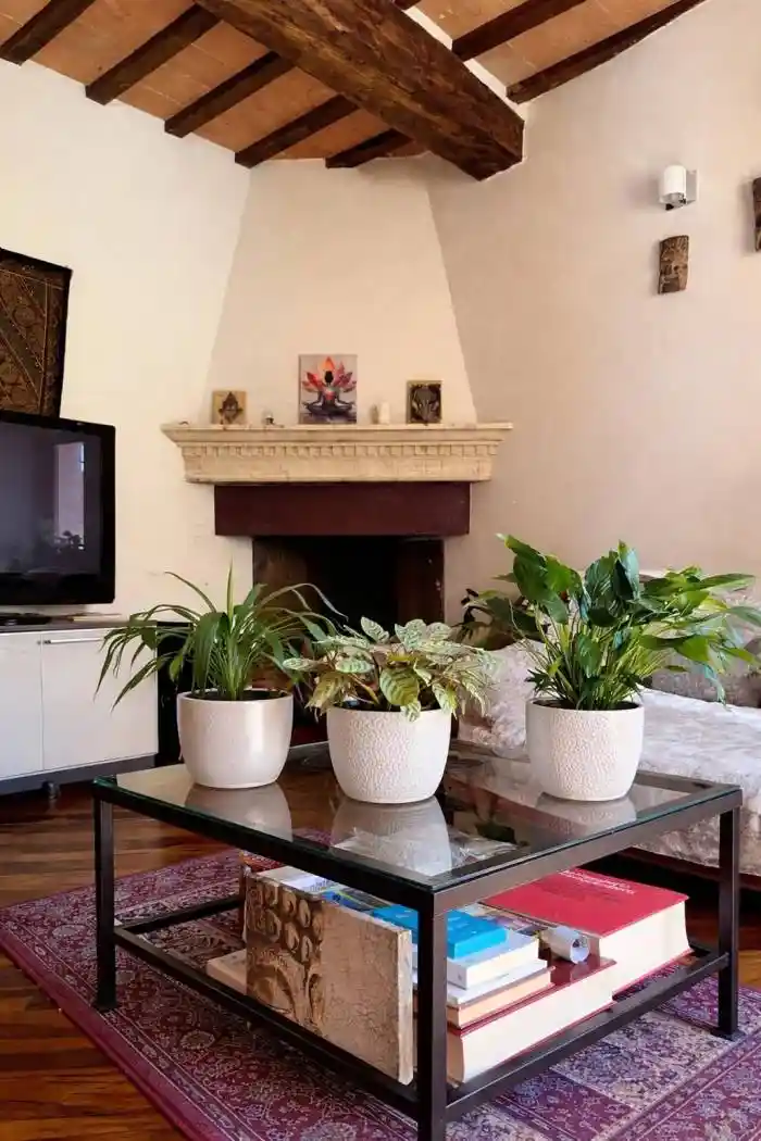 Appartamento in affitto a Todi