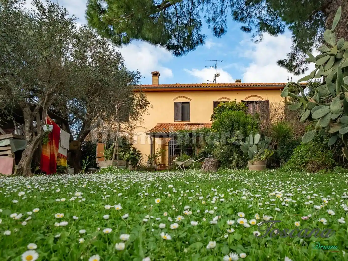 Rustico - Casale in vendita a Grosseto