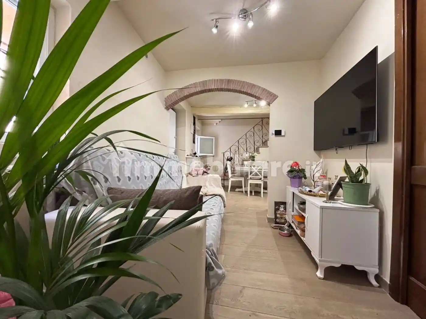 Casa indipendente in vendita a Camaiore
