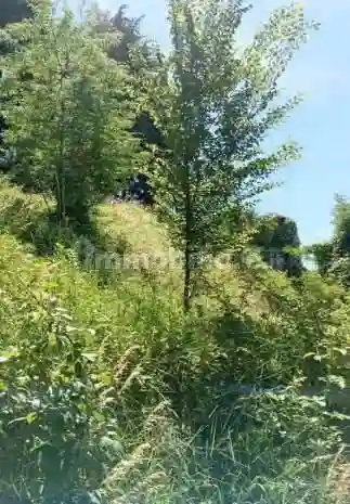 Palazzo - Stabile - foto 2