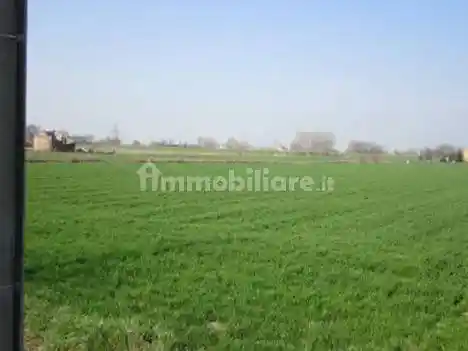 Palazzo - Stabile in vendita a Moglia