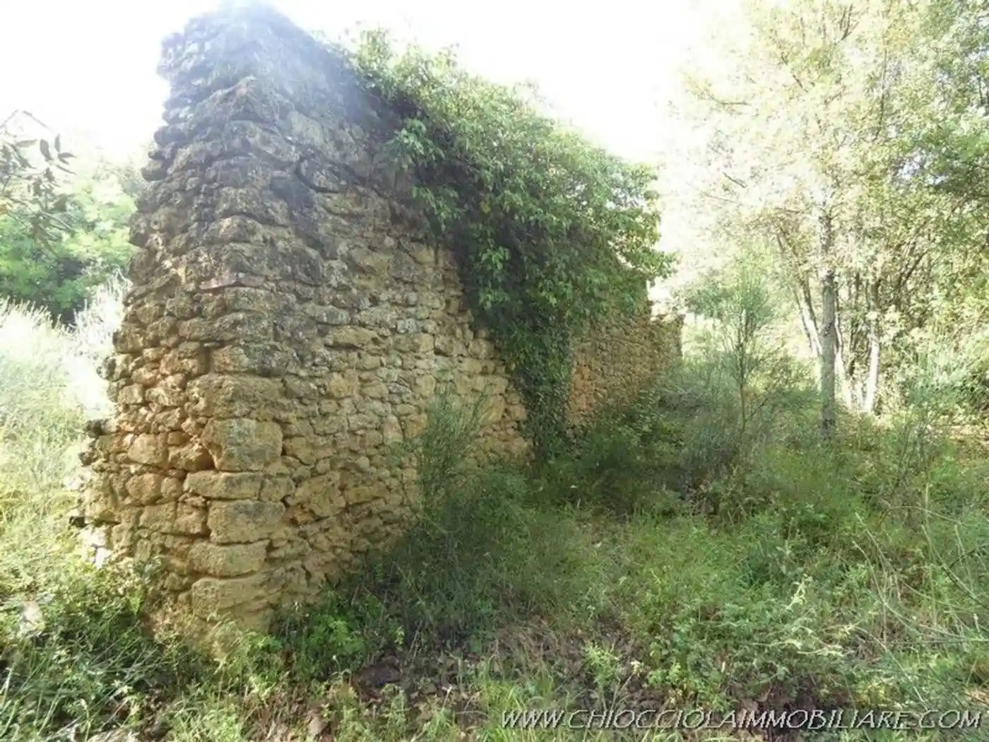 Rustico - Casale in vendita a Pomarance