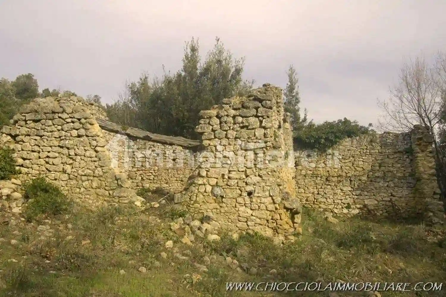 Rustico - Casale - foto 5