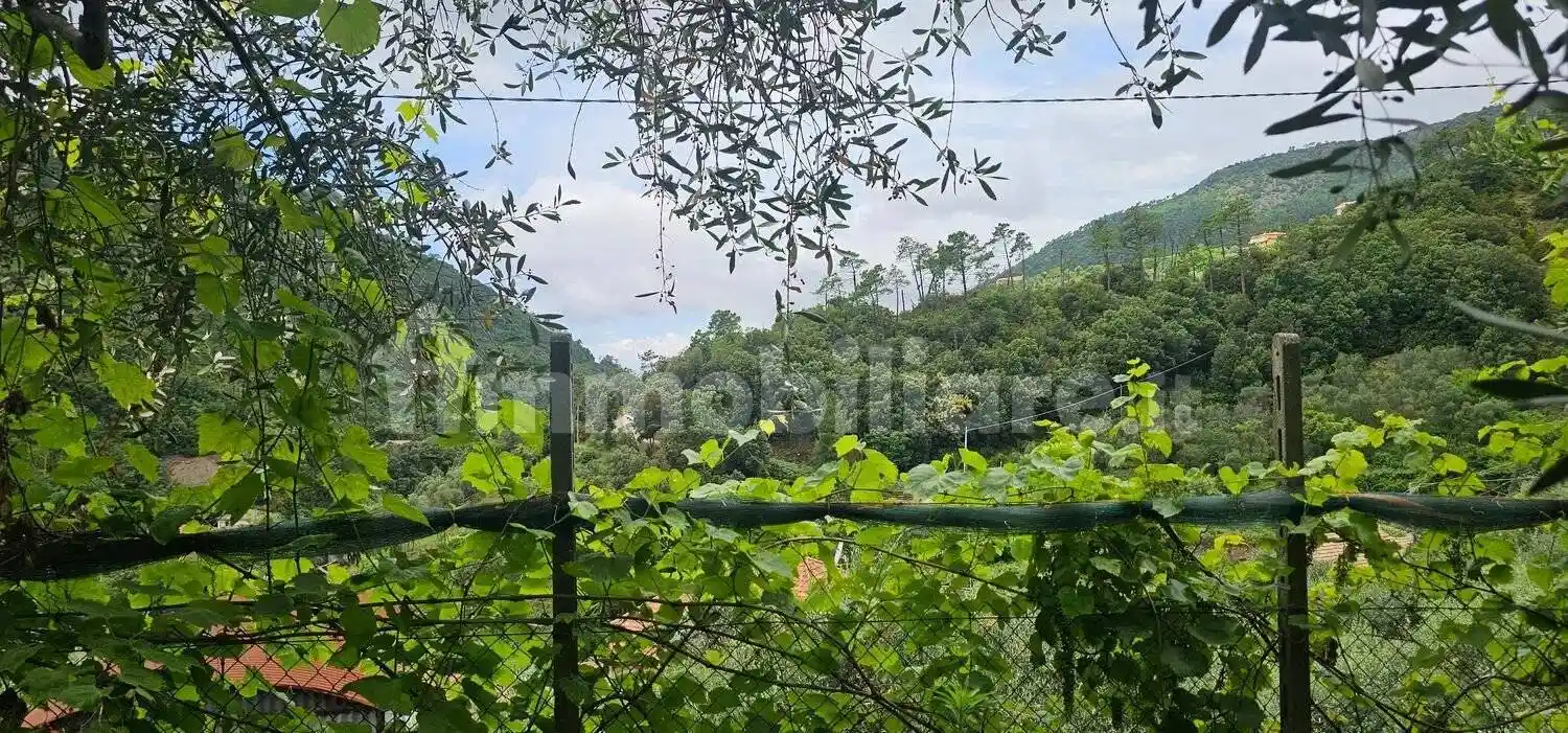 Villa in vendita a Castiglione Chiavarese