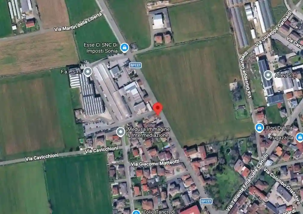 Palazzo - Stabile - foto 5