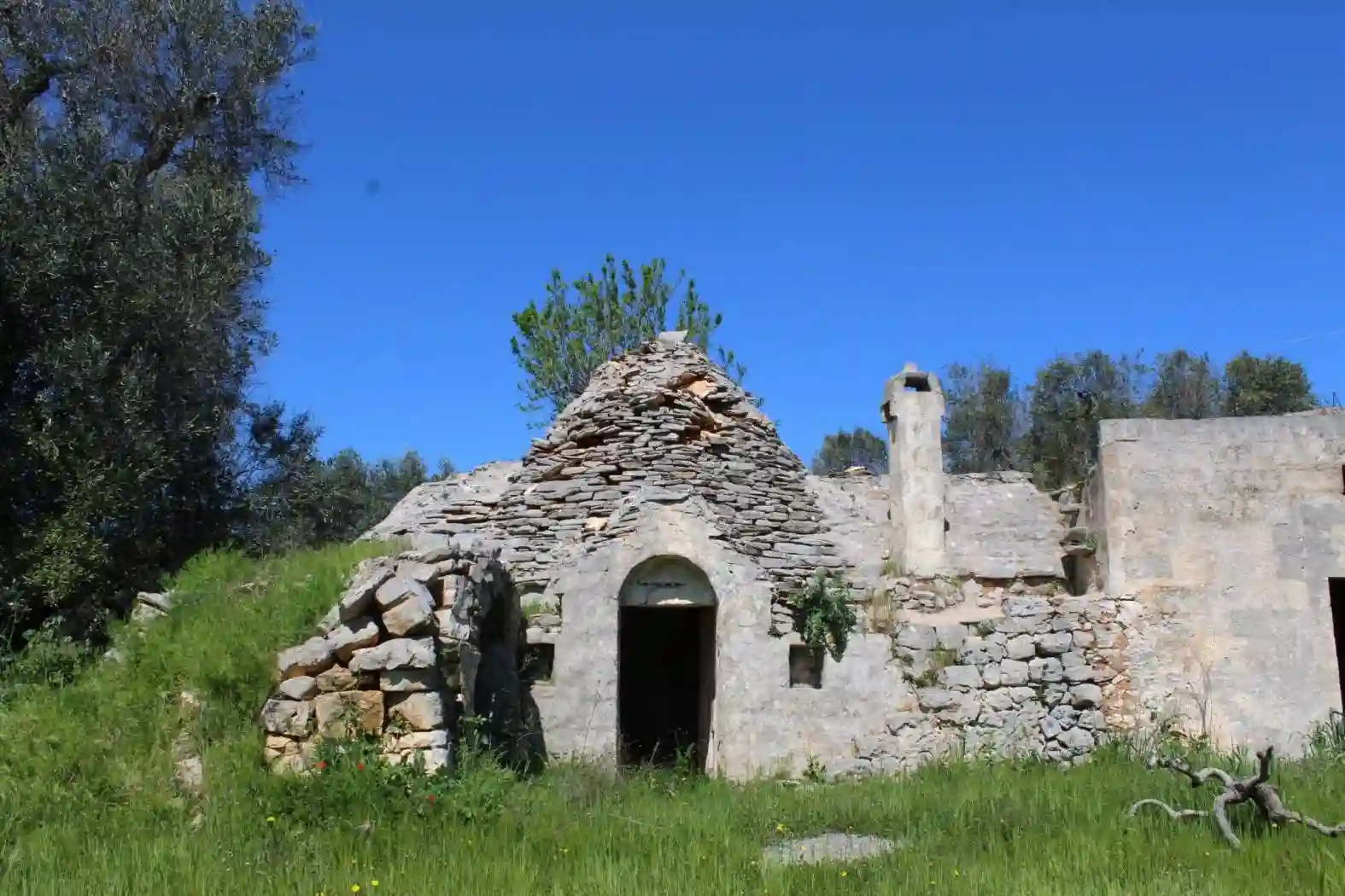 Rustico - Casale - foto 4