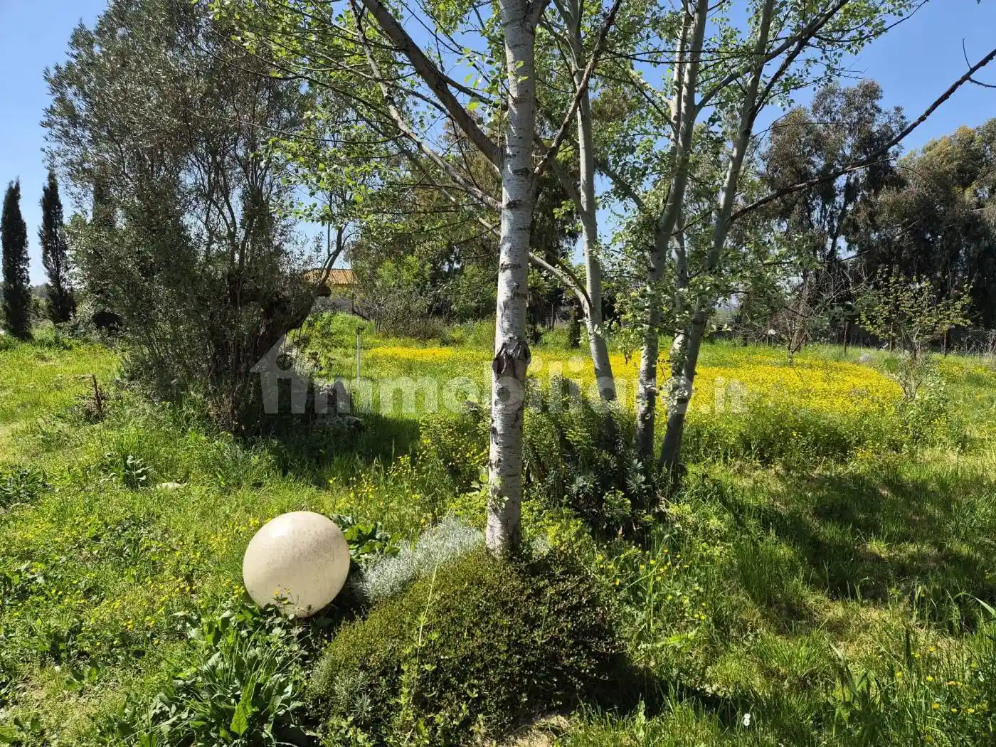 Villa in affitto a Roma